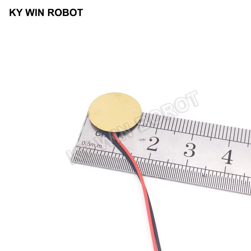 10 Pcs Piezoelectric Piezo Cer - R/Diy Electronics recension och pris