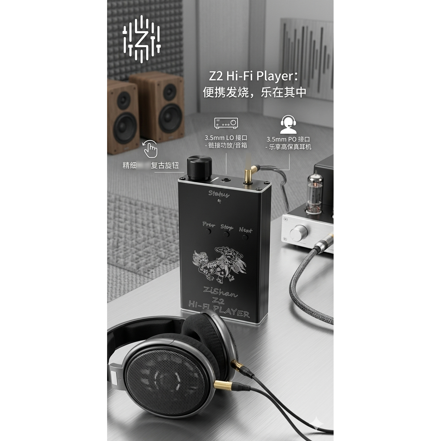 Zishan Z2 HiFi DSD Hard Soluti - Diy Electronics Audio recension och pris